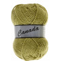 Lammy Canada Yarn Unicolour 271 Dark Lime Green