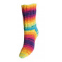 Järbo Raggi Sock Yarn 15115 Rainbow Print