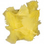 Puch, żółty, rozmiar 7-8 cm, 500 g/ 1 pk.