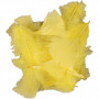Puch, rozmiar 7-8 cm, żółty, 50g