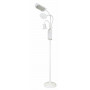 Kleiber Lampa podłogowa LED z uchwytem na receptę &amp; lupą biała 154,5cm