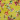 Tkanina bawełniana jersey 150cm 006 Kwiaty - 50cm
