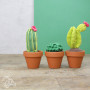 Zestaw DIY/DIY Szydełkowanie kaktusów