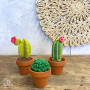 Zestaw DIY/DIY Szydełkowanie kaktusów