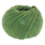 Lana Grossa Cool Merino Big Yarn 204 Green
