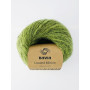Navia Limited Edition Yarn 1747 Olive